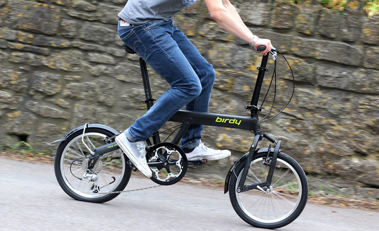 Birdy touring online bike